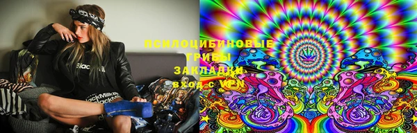 стафф Алзамай